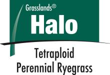 Halo logo